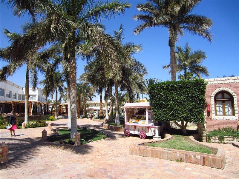 Aladdin Station touristique Hurghada